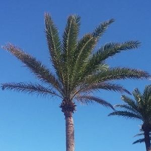 Meet your Posher, Stephen